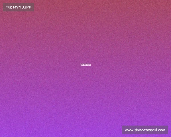 金伯乐马术比赛